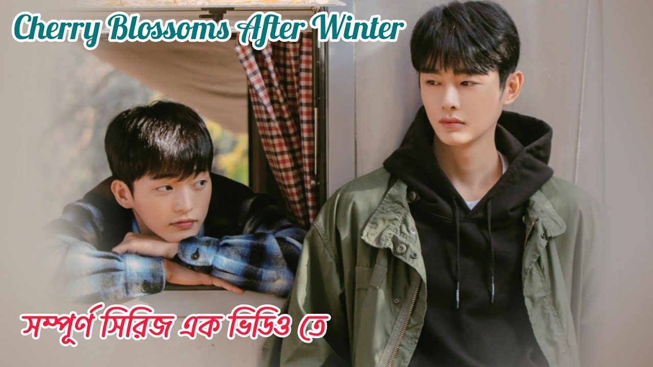 Cherry Blossoms After Winter | সম্পূর্ণ সিরিজ এক্সপ্লেনেশন এক ভিডিওতে | Korean Bl Drama Explanation.