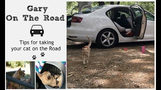 Gary On The Road - TAKING OUR CAT ON A ROADTRIP by MissPlease 176 views 4 years ago 11 minutes