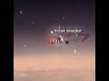 Req by @Indonesian_Aviation-j4s Lion air Flight 610 #planecrash