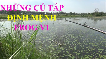 CÂU CÁ LÓC BẰNG MỒI GIẢ FROG TOON V1 VÀ NHỮNG CÚ TÁP HUN DỮ CỦA LOÀI CÁ SĂN MỒI -  pOU pHUNG fISHING