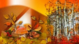 Красивое видео про Осень