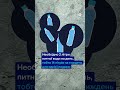 Бункер на подвір'ї: чи реально його побудувати за кілька днів?