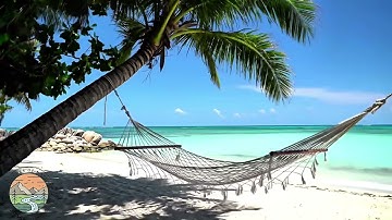 "Island Beach Calm • White Sand, Swaying Hammock & Gentle Waves"