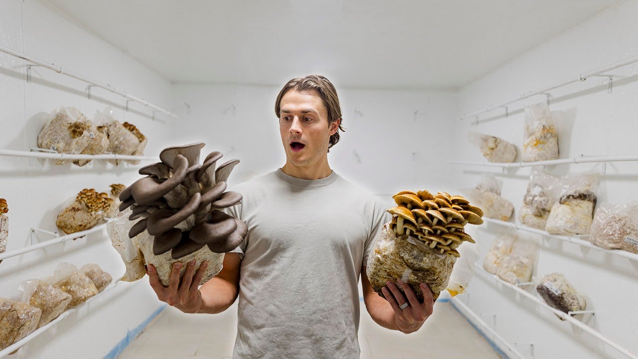 I Visited a Mushroom Farm to Discover the Truth Behind Fungi