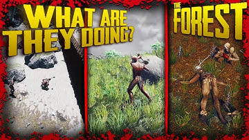 Enemy Behavior & Patrol Routes - Part 2 | The Forest