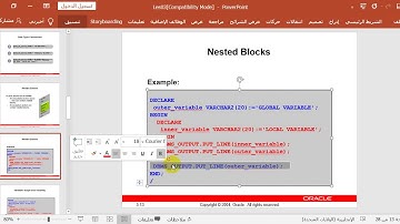 Lesson 3: Writing Executable Statements