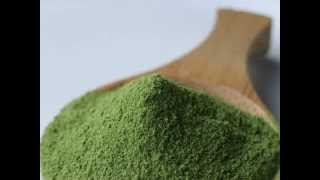Japanese Customer Cooking Lesson #3 How to make green tea matcha ice cream 抹茶