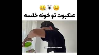 عنکبوت تو خونه خلسه😐😂🕷️ خلسه میگی تورو بزنه اسپایدرمن میشی 😂😂