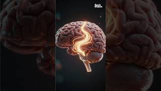 The Book That Reveals Your Brain’s Hidden Tricks 🧠 #quickwisdom #books #trending #shorts #ai #new