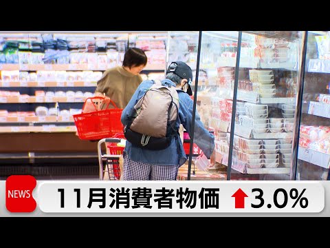 11月の全国消費者物価指数 3.0％上昇　前月から横ばい　食料品は高止まり