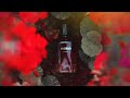 MASHHAD - مَـشـهَـد