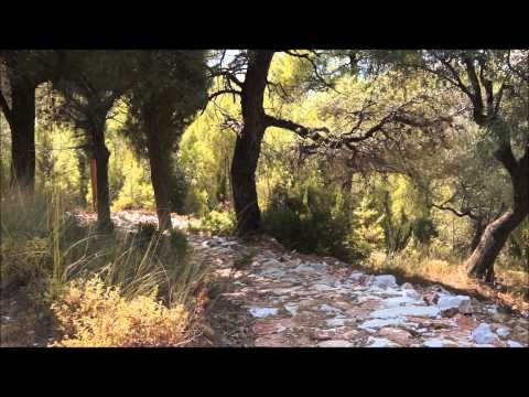 Greek Hospitality -