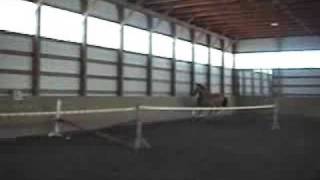 Nick and Ali Free Jumping