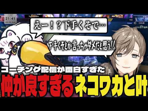 【まとめ】叶とワカの仲が良すぎる2人のコーチング配信が面白すぎたｗｗ【切り抜き/叶/にじさんじ/ネコと和解せよ/スト6】