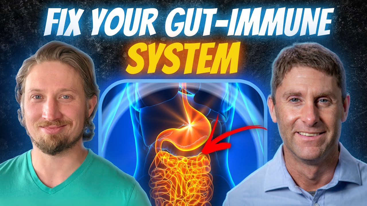 How to Retrain a Broken Gut-Immune System with Steve Wright