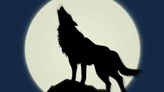 How to draw wolf howling in night step by step screenshot 5