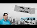What are subsidies? How do they work?