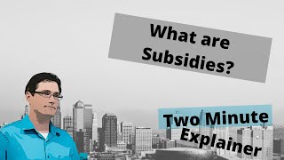 What are subsidies? How do they work?