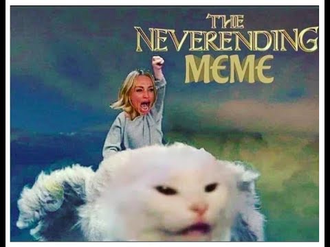 the-never-ending-meme-compilation---confused-cat!