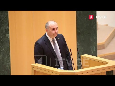 თავდაცვის მინისტრის მოსმენა პარლამენტში