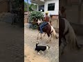 Cavalo Maluco Empinando VEJA O QUE ACONTECEU