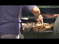 Celebrating Independence Day in towns across the Upstate and WNC