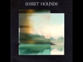 Basset Hounds - Amor Daltónico