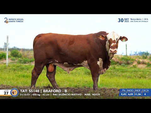 LOTE 27 TAT S5148 BRAFORD Est  Sta Tereza