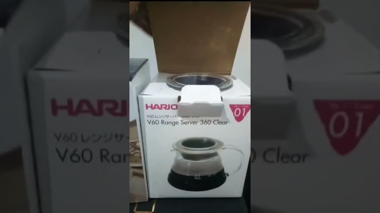 Hario V60 Range Server Shorts