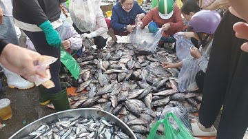 Chợ đầu mối bình điền sáng chủ nhật đông như tết cá phi 20k cá mú 50k 