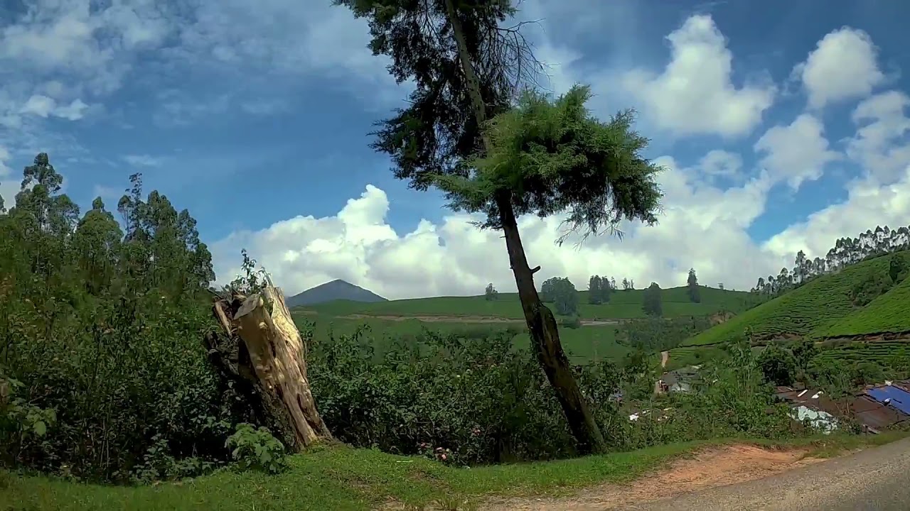 Munnar Kundale Golf Club | Chunadavurrai Estate | മൂന്നാറിലെ സ്വർഗ്ഗം @Trek and Dine by Cochin360