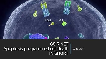 CSIR NET apoptosis programmed cell death IN SHORT  2020 ver