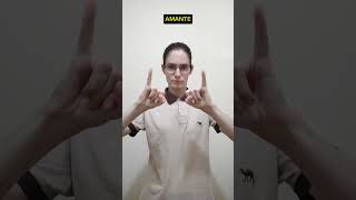 Sinais De Libras Amante