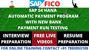 SAP S4 HANA AUTOMATIC PAYMENT PROGRAM WITH NEW BANK PAYMENT RUN TESTING