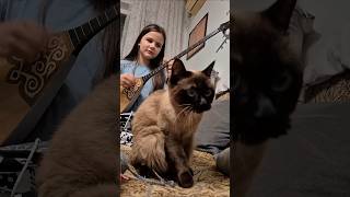 Ailin plays the Dombra for her cat
