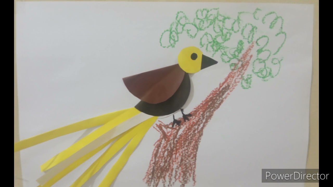 82 Gambar Burung Cendrawasih Kartun HD