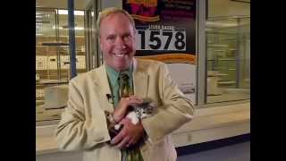 Arvada Insights - Foothills Animal Shelter