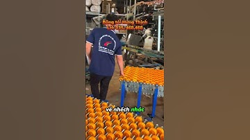 Xưởng sản xuất băng tải con lăn xếp