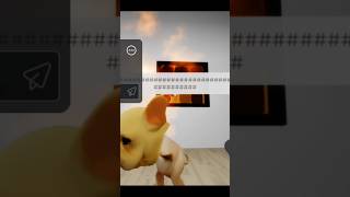 humano has nacido para ser mi esclavo 🤑 // #sandia_bloxi #roblox #apoyoplis #humor #viral #perros#xd