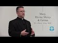 Mary and Divine Mercy and Fatima April 22 2017 - Fr. Chris Alar, MIC