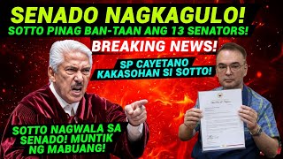 HALA! S0TT0 PINAG BAN-TAAN ANG 13 SENATORS! SP CAYETANO KAKAS0HAN SI S0TT0! SENADO NAGKAGULO ULIT!!!