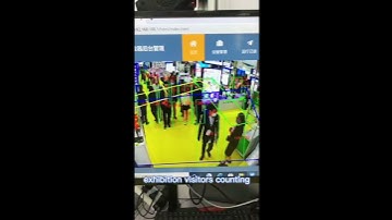 crowd counting system, crowd counter, traffic counting system, traffic counter, AI counting system.