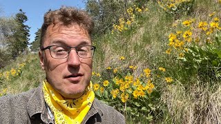 GEOL 351 - #25 - Leavenworth Ski Hill (field trip)