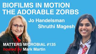 Matters Microbial #135: Biofilms in Motion—The Adorable Zorbs