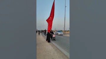 استمرار تدفق الملايين المشاية نحو كربلاء المقدسة 