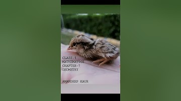 Maths, class 5, chapter 7, Geometry, Video 4, Amrit Indo Canadian Academy