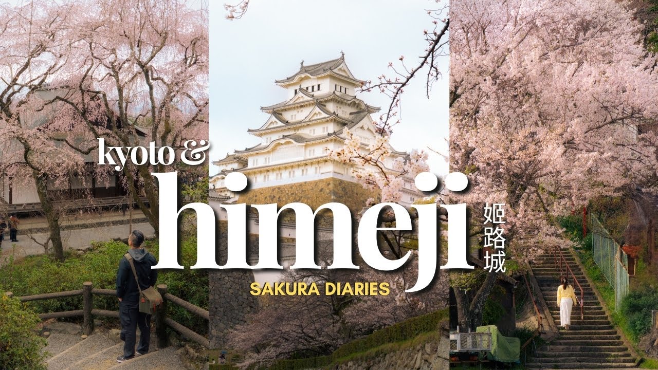 🌸 Весна в Химедзи и Киото | Сакура в Арасияме, замке Химэдзи, замке Нидзё | Уютный японский влог