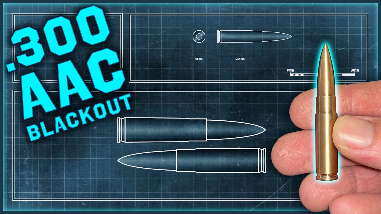 .300 AAC Blackout «Обсуждение патронов», выпуск 34
