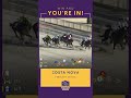 From Tokyo to the Breeders' Cup!