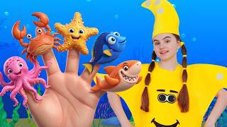 sea animals finger family what s inside baby shark surprise